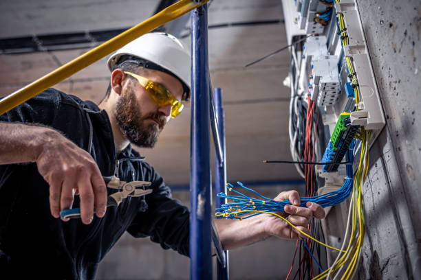 Best Electric Panel Repair  in West Burlington, IA